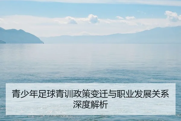 青少年足球青训政策变迁与职业发展关系深度解析